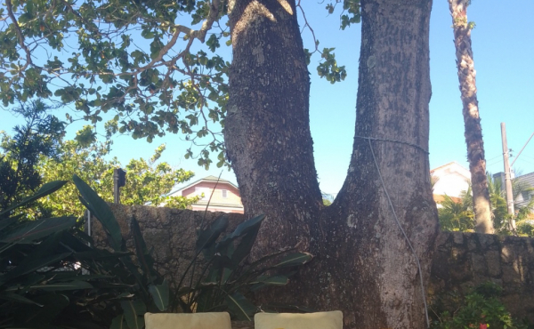 818b87e6-cec1-4220-b89d-8e9b698f4b2e