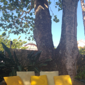 818b87e6-cec1-4220-b89d-8e9b698f4b2e