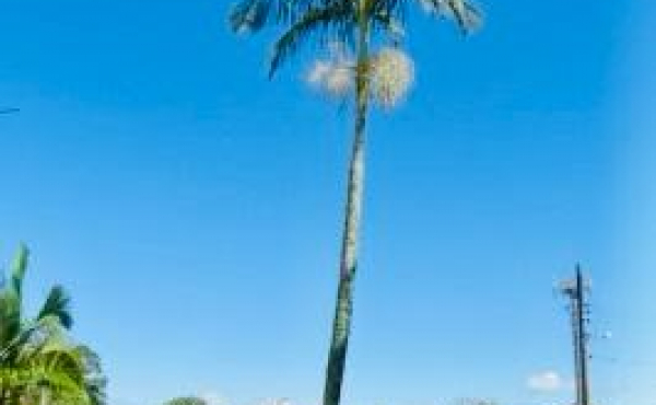 WhatsApp Image 2024-05-16 at 11.38.01 (2)