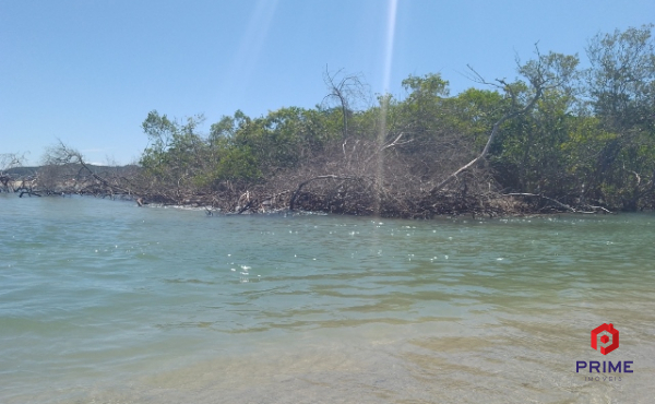 IMG_20220317_113257_462 (640x480)