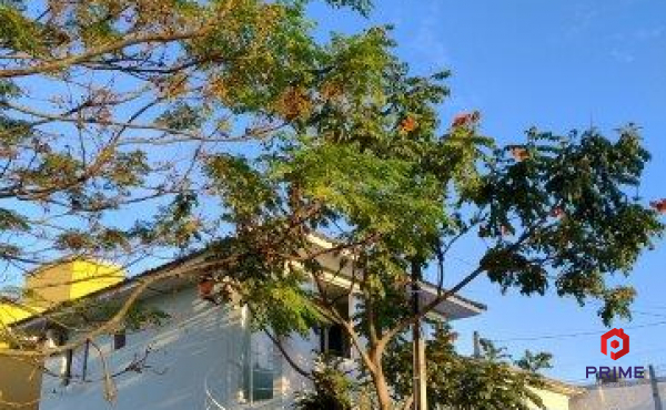 IMG_20240614_164633340_HDR