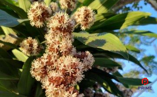 IMG_20240614_164746309_HDR