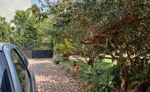 WhatsApp Image 2024-09-11 at 13.21.29 (2)