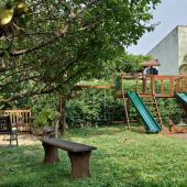 WhatsApp Image 2024-09-11 at 13.21.24