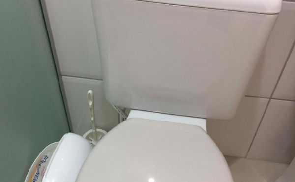 WhatsApp Image 2024-11-14 at 08.50.25 (2) WhatsApp Image 2024-11-14 at 08.50.25 (2)