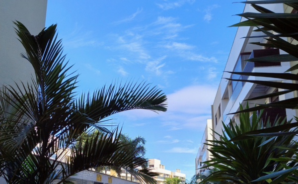 WhatsApp Image 2024-11-14 at 09.08.06 (10)