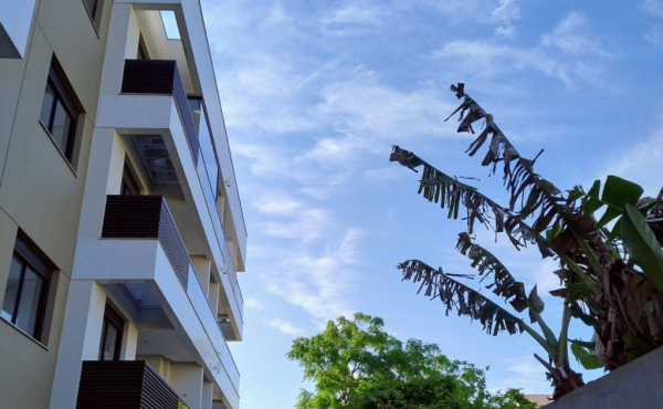 WhatsApp Image 2024-11-14 at 09.08.06 (17)