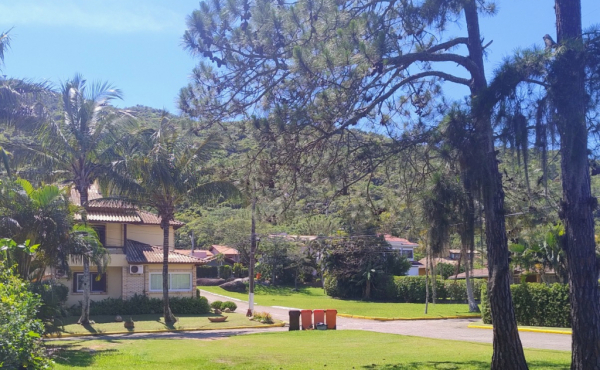 WhatsApp Image 2024-11-14 at 12.50.14