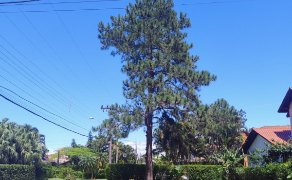 WhatsApp Image 2024-11-14 at 12.50.14 (5)