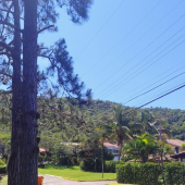 WhatsApp Image 2024-11-14 at 12.50.14 (4)