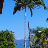 WhatsApp Image 2024-12-17 at 14.30.02 (5)