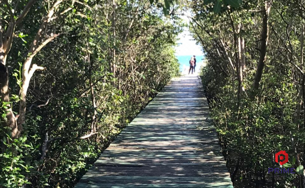 09ac0b8d-cfb6-4329-a690-98bfd374ca17 - Cópia 09ac0b8d-cfb6-4329-a690-98bfd374ca17 - Cópia