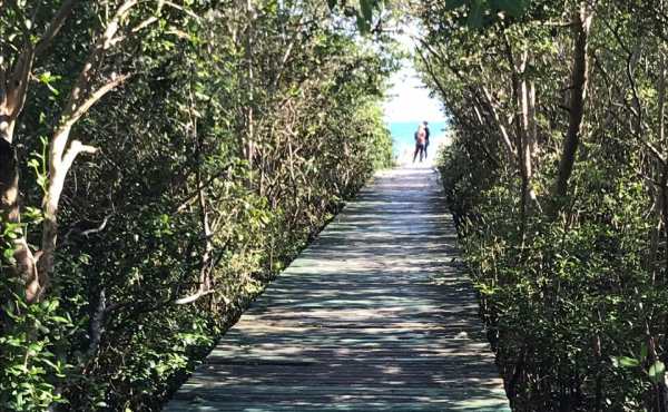 WhatsApp Image 2018-08-21 at 11.33.01 (1) WhatsApp Image 2018-08-21 at 11.33.01 (1)