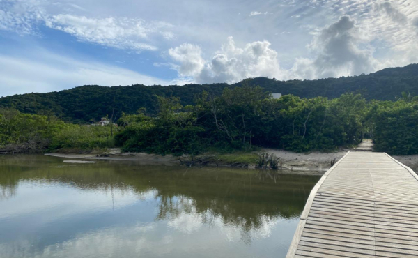 WhatsApp Image 2025-01-28 at 08.14.53 WhatsApp Image 2025-01-28 at 08.14.53