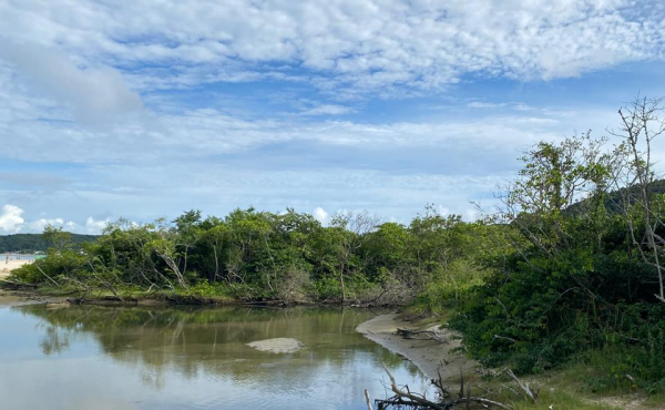 WhatsApp Image 2025-01-28 at 08.14.53 (3) WhatsApp Image 2025-01-28 at 08.14.53 (3)