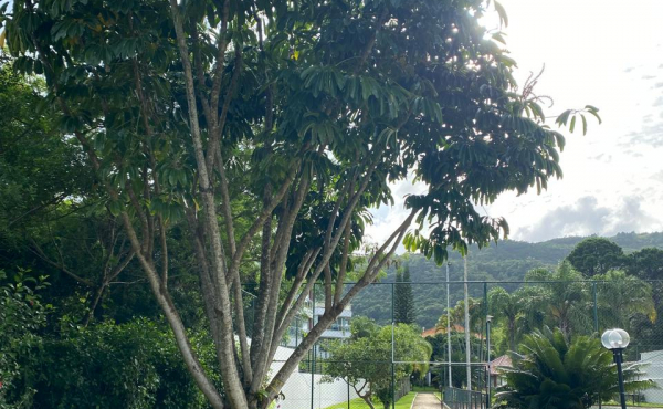 WhatsApp Image 2025-01-28 at 08.14.53 (8) WhatsApp Image 2025-01-28 at 08.14.53 (8)