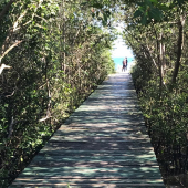 WhatsApp Image 2018-08-21 at 11.33.01 (1) WhatsApp Image 2018-08-21 at 11.33.01 (1)