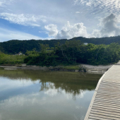 WhatsApp Image 2025-01-28 at 08.14.53 WhatsApp Image 2025-01-28 at 08.14.53