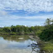 WhatsApp Image 2025-01-28 at 08.14.53 (3) WhatsApp Image 2025-01-28 at 08.14.53 (3)