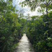 WhatsApp Image 2025-01-28 at 08.14.53 (4) WhatsApp Image 2025-01-28 at 08.14.53 (4)