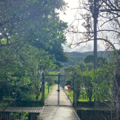 WhatsApp Image 2025-01-28 at 08.14.53 (7) WhatsApp Image 2025-01-28 at 08.14.53 (7)