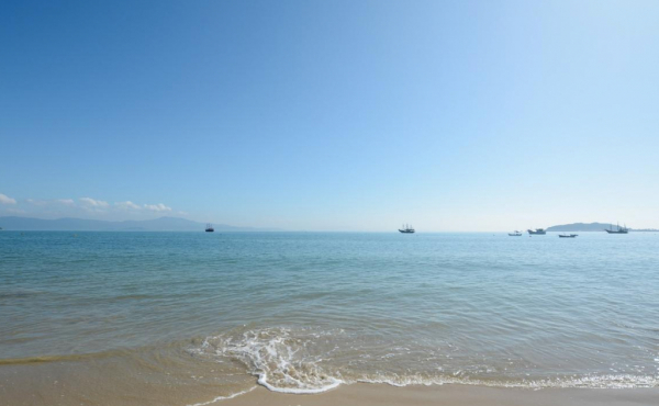 WhatsApp Image 2025-03-21 at 10.59.48 (3)