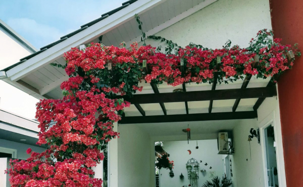 WhatsApp Image 2025-06-11 at 15.15.41