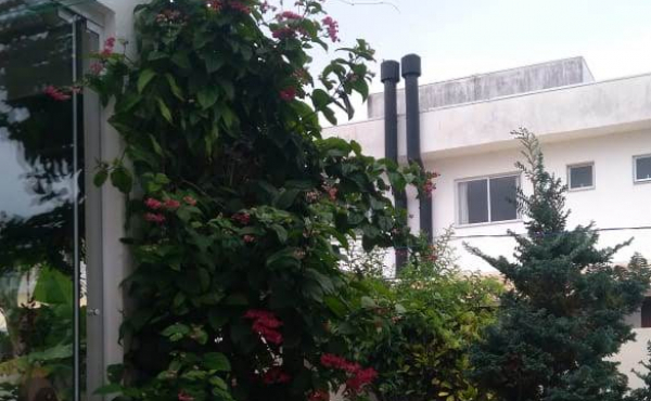 WhatsApp Image 2025-06-11 at 15.15.45 (3)