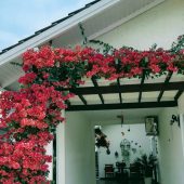 WhatsApp Image 2025-06-11 at 15.15.41