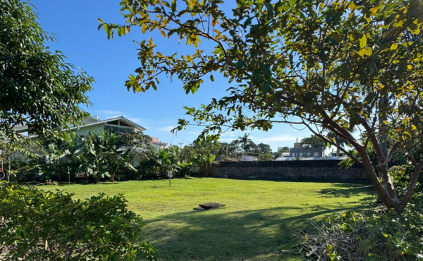 WhatsApp Image 2025-06-11 at 16.28.50