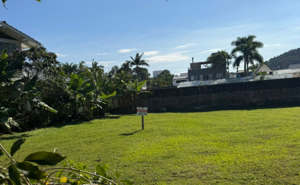 WhatsApp Image 2025-06-11 at 16.28.53