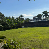 WhatsApp Image 2025-06-11 at 16.28.53