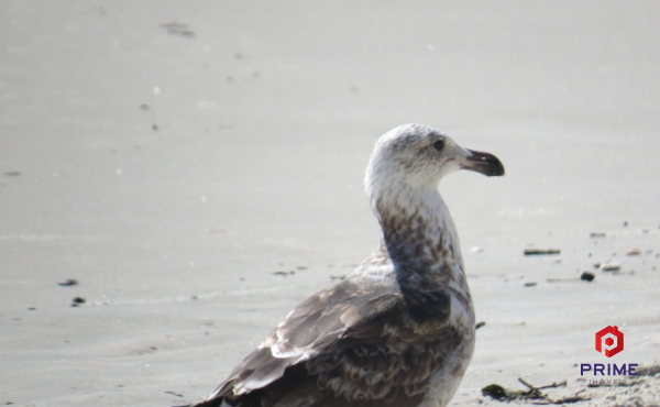 WhatsApp Image 2019-08-14 at 15.30.05 (7) (640x480) WhatsApp Image 2019-08-14 at 15.30.05 (7) (640x480)