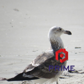 WhatsApp Image 2019-08-14 at 15.30.05 (7) (640x480)