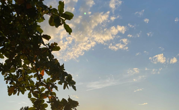 WhatsApp Image 2025-11-06 at 14.26.42 (3) WhatsApp Image 2025-11-06 at 14.26.42 (3)