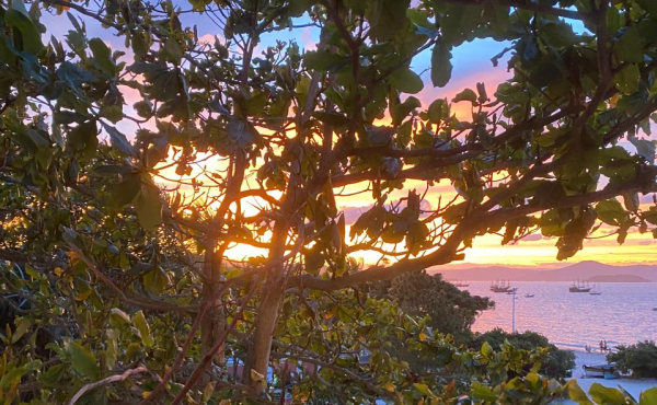 WhatsApp Image 2025-11-06 at 14.26.48 (1) WhatsApp Image 2025-11-06 at 14.26.48 (1)