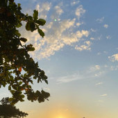 WhatsApp Image 2025-11-06 at 14.26.42 (3)