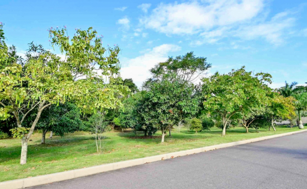 WhatsApp Image 2025-11-12 at 10.06.39 (1) WhatsApp Image 2025-11-12 at 10.06.39 (1)