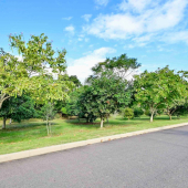 WhatsApp Image 2025-11-12 at 10.06.39 (1)