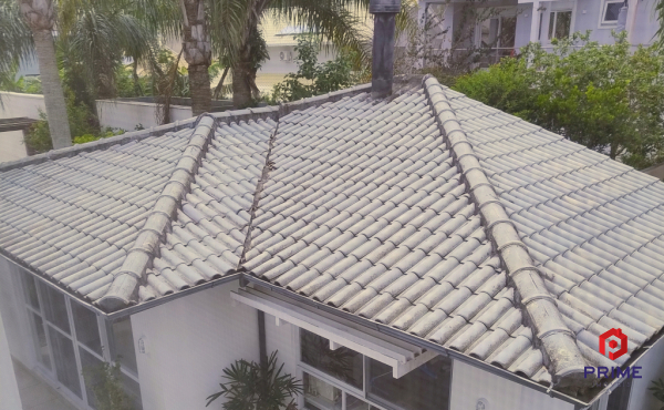 IMG_20251023_101646884_AE