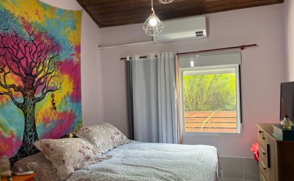 WhatsApp Image 2026-02-20 at 14.22.32