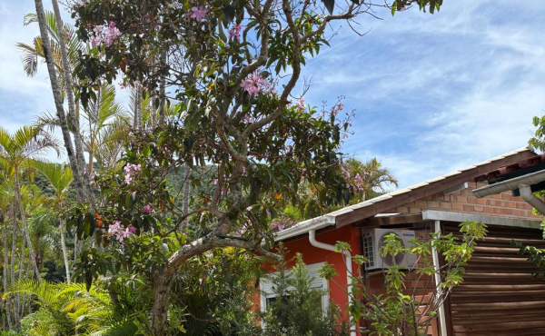 WhatsApp Image 2026-02-25 at 11.05.03 (3)