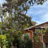 WhatsApp Image 2026-02-25 at 11.05.03 (3)