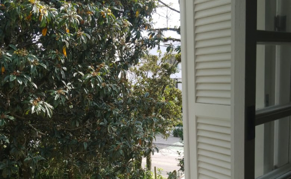 WhatsApp Image 2022-07-18 at 16.34.26 (1)